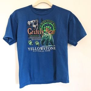 Yellowstone Park Grizzly Bear Made in USA 14/16
